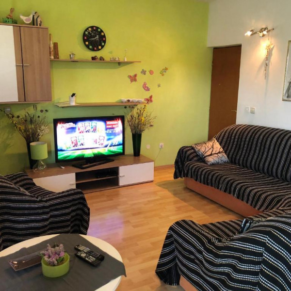 Living room, Apartments Ruža, Travel agency Charly, Murter, Dalmatia, Croatia Betina