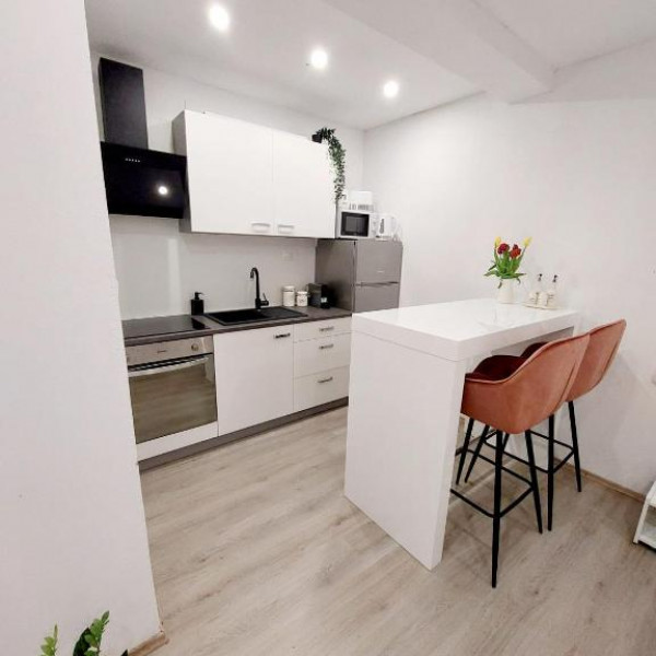 Kitchen, Studio apartment Charly, Travel agency Charly, Murter, Dalmatia, Croatia Betina